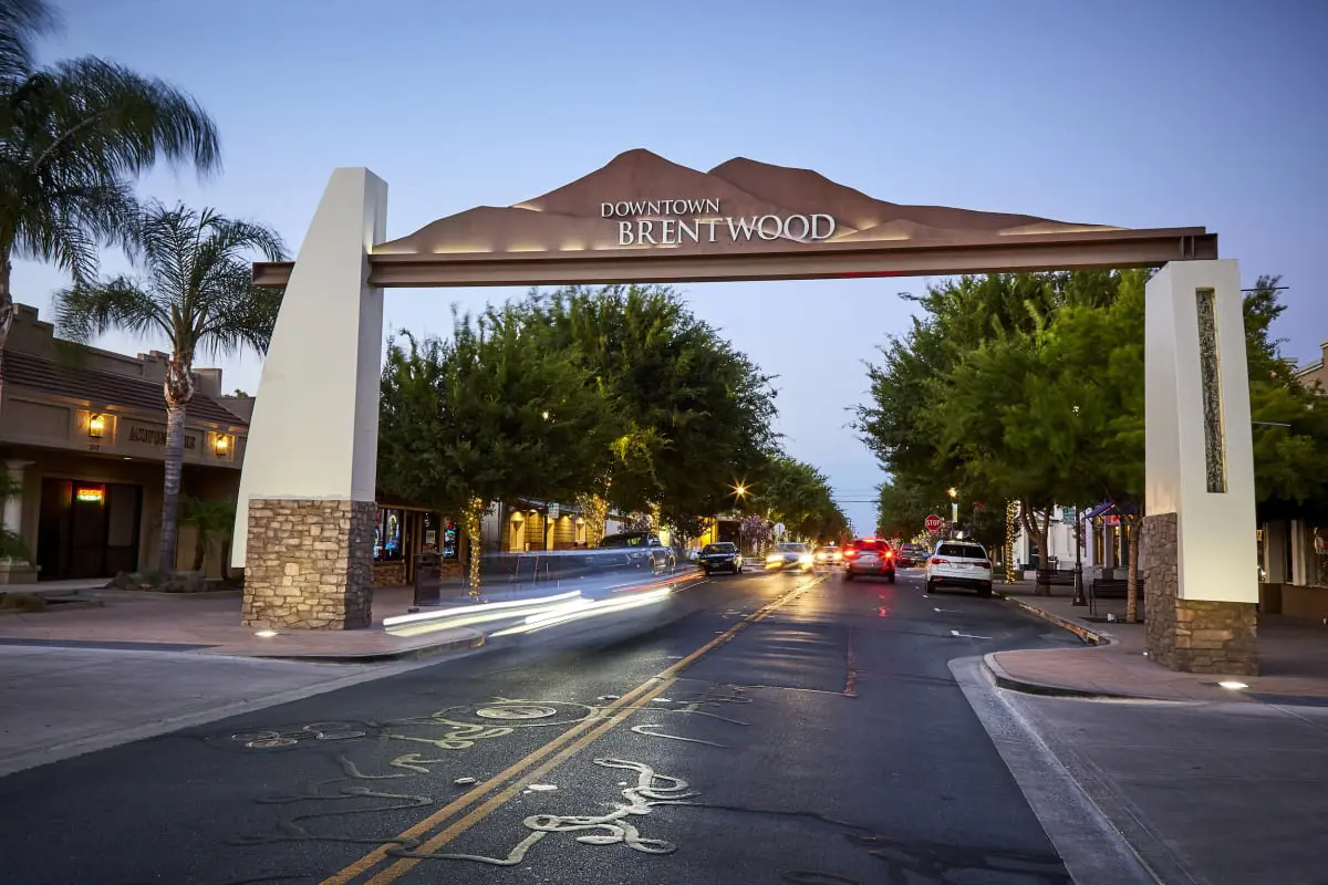Professional Brentwood movers carefully packing furniture for transport