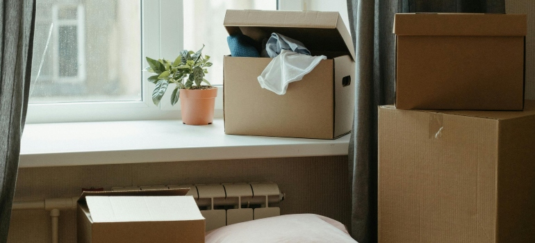 A brown cardboard box near the window.