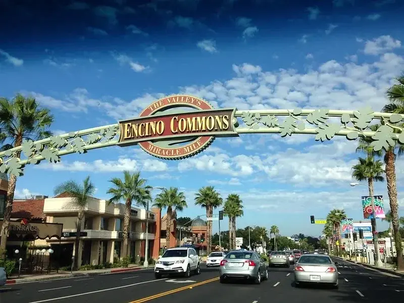 Eagle Star Moving providing reliable services for a quick and secure relocation of office furniture and equipment