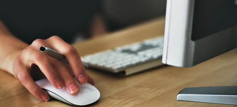 Person Holding Apple Magic Mouse