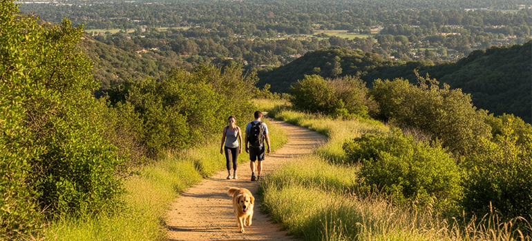 hiking in LA